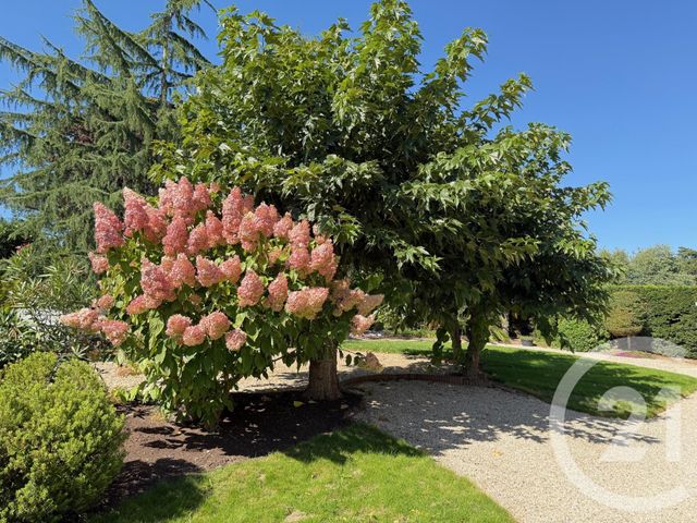 Maison à vendre - 5 pièces - 160 m2 - Bouchemaine - 49 - PAYS-DE-LOIRE